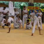 2013 Capoeira 1