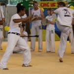 2013 Capoeira