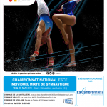 2019 Accueil Affiche Championnats individuels mixtes(1)